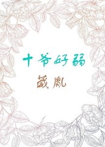 清穿之十爺好弱