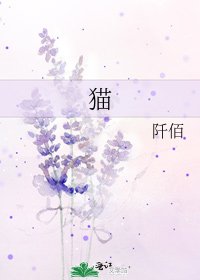 貓